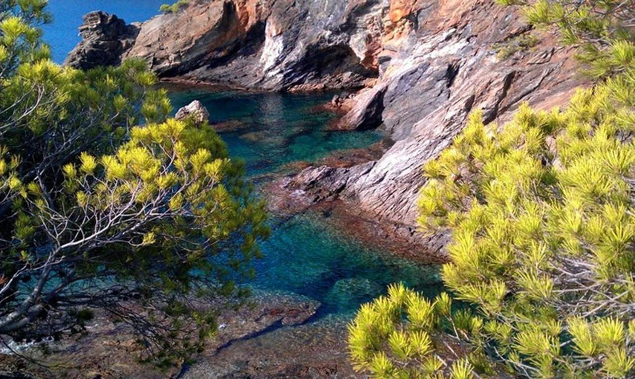 Splendido Studio, Vista Mare, A 5Mn Dalla Spiaggia - Casa Artevida Росес Екстериор снимка